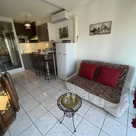 Renove Climatise, 2 Couchages, A Proximite - Cap D'agde Naturisme - Fr-1-249a-32 Agde